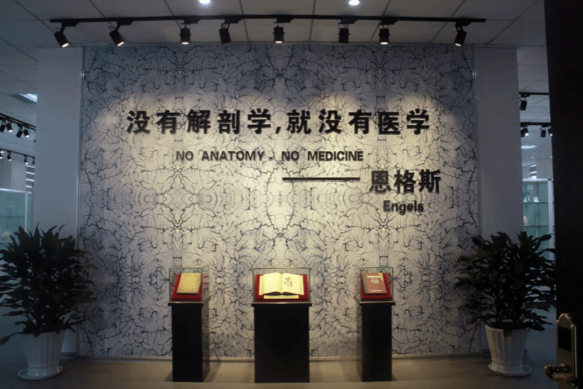 致敬“大体老师” ！用特别的方式与你“...
